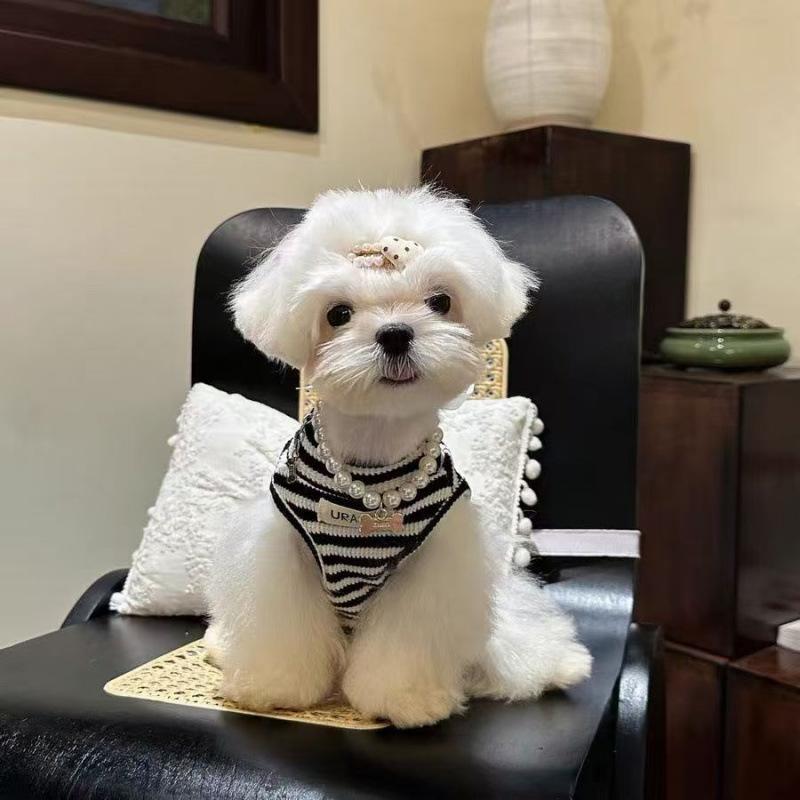 ペット 服 女の子 ボーダー 背ベスト ノースリーブ 小型犬 幼犬 チワワ 柴犬 トイプードル ポメラニアン マルチーズ 抜け毛防止 通気性 薄手 春夏 オールシーズン お散歩 お出かけ 普段着 かわいい おしゃれ・素材: サンゴフリース・スタイル: カジュアル・対象性別: ユニセックス・カラー展開: ブラック・サイズ展開: S(1-2kg), M(2-3kg), L(3-4kg), XL(4-5.5kg), XXL(6-9kg)・カテゴリ: ペット服
