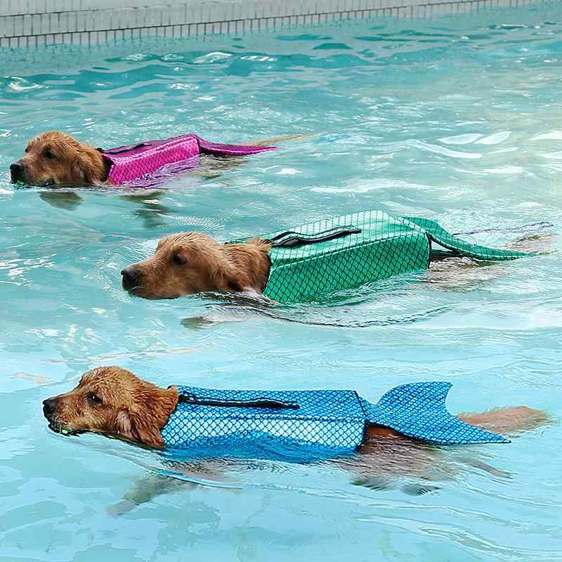 ペット ライフジャケット 救生衣 マーメイド コスプレ 犬用 泳ぎ 練習 水着 小型犬 中型犬 大型犬 水遊び 浮き輪 事故防止 マジックテープ 調整可能 散歩 アウトドア 海 プール 夏用・素材: ポリエステル・カテゴリ: 水着・スタイル: トレンド・対象: ユニセックス・カラー展開: ブルー（瑕疵あり）, グリーン（瑕疵あり）, ローズレッド（瑕疵あり）・サイズ展開: S, M, L, XL・種類: ペットウェア