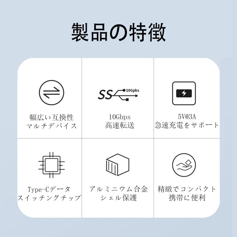 SZSL USB C to 3.1 変換アダプタ 最大10Gbps高速データ転送 OTG 延長アダプタ イヤホン vision-stores-10401712 ビジョンストア サンプル画像2