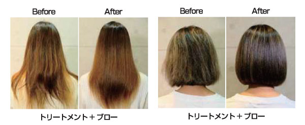 �����ѡ�����������Ź�ۥ��Х꡼�� �֥���� 1kg aballir brillante �ѥ����������ס����ǥȥ꡼�ȥ��ȡ��إ��ѥå� ���� �������ȥ꡼�ȥ��� �Ĥ�Ĥ� �� �ĥ� ���饵�� ȱ�������ȥ꡼�ȥ��� ���ȥ졼�ȥإ� ȱ ���᡼������ ���᡼���� ���� �佤 ������ ʴ