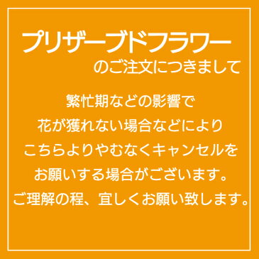 大地農園 プリザーブドフラワー ローズ いずみ ≪マルーンピンク≫ (プリザ 花材 薔薇 バラ ピンク pink 1箱9輪入り )