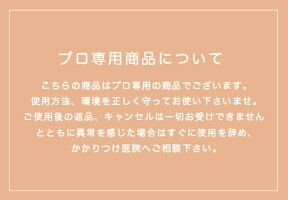 ロレアルアンプリフィックス2剤6%1000ml(スタイリング剤ミストウェーブスタイル美容師プロフェッショナルツールボックスサロン業務用美容室専売サロン専売)