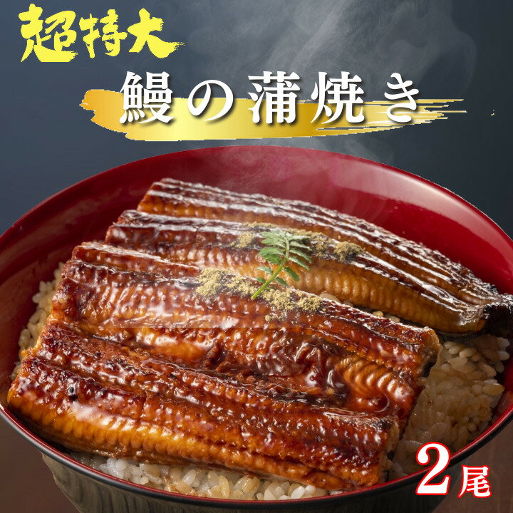 うなぎ 国産 特Lサイズ 蒲焼 160～200g×2尾入り 箱入り【 2～3人分 愛知県産 送料無料 お歳暮 ギフト ..