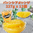 ワケあり【25％OFF】賞味期限24年4月15日迄 バレンシアオレンジ シロップ漬け 227g 12個入 フルーツ スイーツ ビタミンC フルーツギフト 風邪予防 ギフト くだものギフト コストコ グレシラ ビタプラス VITA VITA+