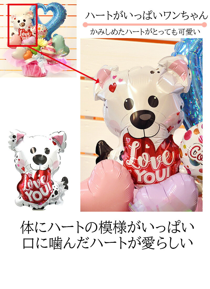 ����̵�������ꥸ�ʥ�Х롼�󥮥ե� �ɥå���֥Х롼�󥢥�� / dog �� ���� �С����ǥ� �ڥå� ���ץ饤�� �İ��� ���ե� �� �ɥå��ȥ졼�ʡ� �� ��Ź�ˤ� ������ ��ǯ ���å��� �֥꡼���� �ե� �ɥå������� �ȥ�ߥ� �ð� ưʪ�±� ����å� �ۥƥ�