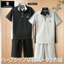 紳士服 メンズ 半袖 トップス ボトムス ハーフジップ切替スーツ 2色組(AS-0410) M/L SALOON EXPRESS/サルーンエクスプレス