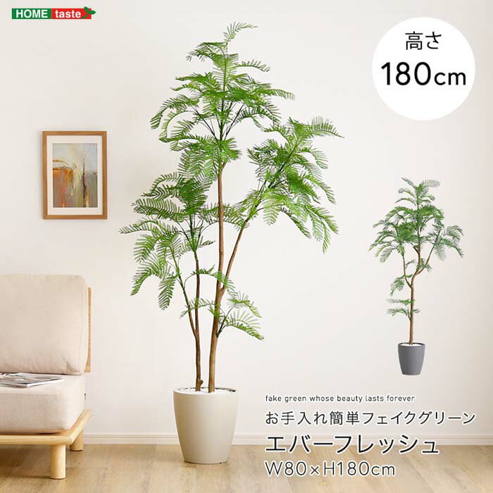 お手入れ簡単フェイクグリーン エバーフレッシュ Lサイズ(180cm)