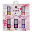 パジコ レジン用着色剤 宝石の雫クリアカラーセット<実り> 5色セット 暖色 秋カラー ミニサイズ【メール便 送料無料】