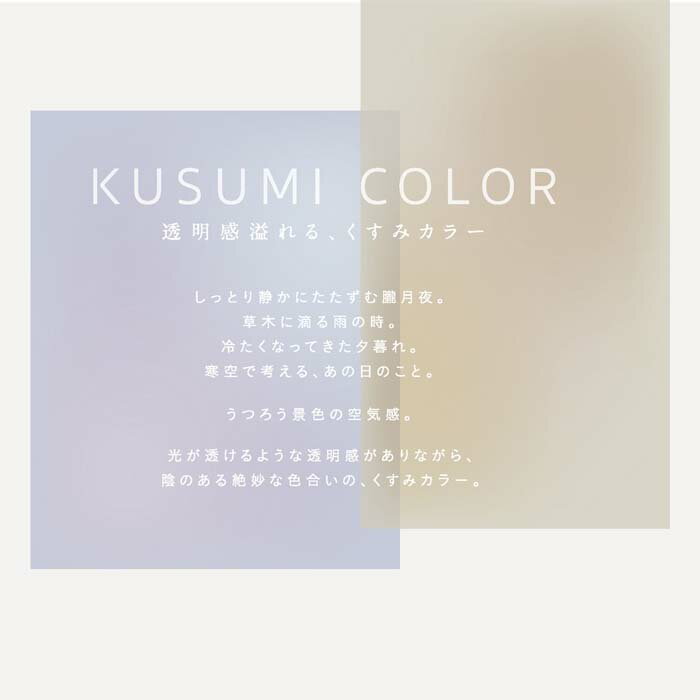 �ڳ�ŷ�����ѡ�SALE_10%OFF�ۥѥ��� �쥸�����忧�� ���Фμ����ꥢ���顼���åȡ㶹̸�� 5�����å� �����ߥ��顼 ���� �ߥ˥������ڥ᡼���� ����̵����