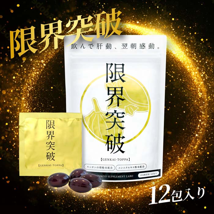 限界突破 4粒×12包 すっぽん卵粉末 にんにく凝縮エキス サプリメント 健康食品 【...