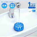 【楽天スーパーSALE_10%OFF】業務用トイレの尿石落とし A-02 1009001 トイレ用洗剤 トイレ掃除 便器用