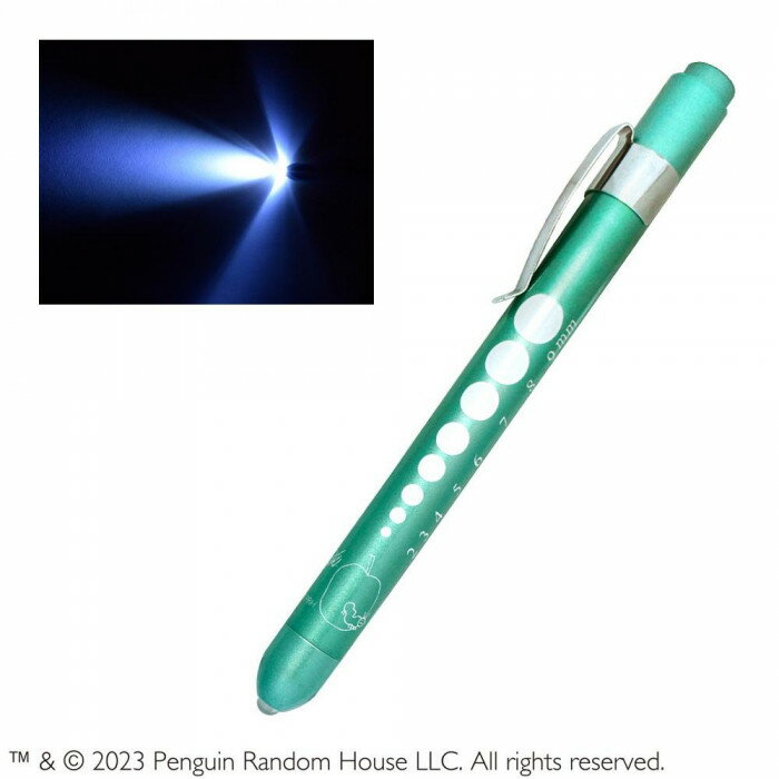 エリックカール メディカルペンライト シルバーグリーン ST-CEC0001 医療 病院 計測 瞳孔計 LEDペンライト【メール便 送料無料】
