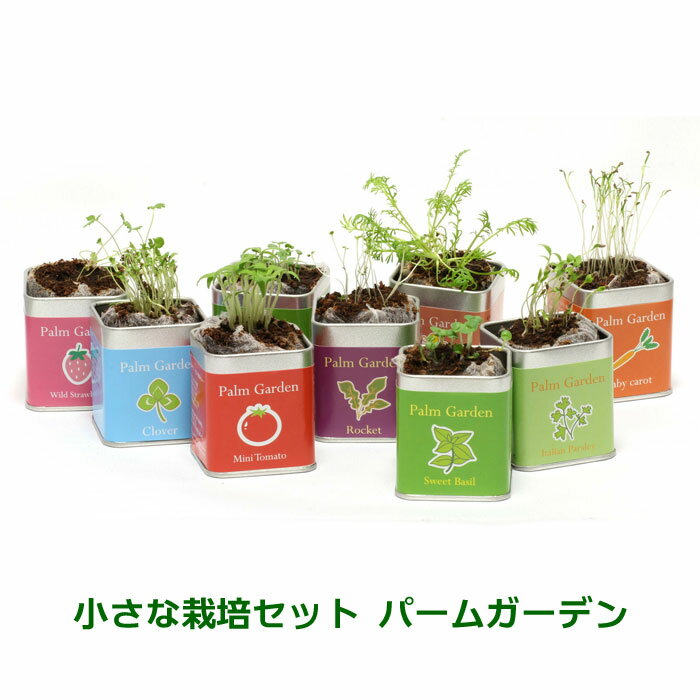 小さな栽培セット パームガーデン ハーブ 食用 キッチングリーン インテリアグリー...