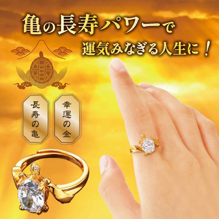 ロングライフプレミアムリング 指輪 男女兼用 フリーサイズ 8〜18号【メール便 送料無料】 3