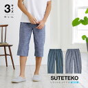 リラックスステテコ メンズ 七分丈 ブルー 1009199 M/L 綿100% ルームパンツ 室内着 春 夏 さわやか 前開き(ボタン留め)【メール便 送料無料...