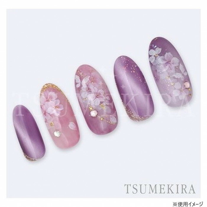 TSUMEKIRA(ツメキラ) ネイルシール 平山愛プロデュース 淡雪桜 NN-HIR-001 送料無料（普通郵便） 3