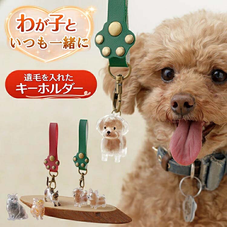 商品名そばにいるね！わが子のキーホルダー商品説明■わんちゃんねこちゃんの毛を、ケースに入れて持ち歩けるキーベルト■ブラッシングをした毛を集めて、つまようじやピンセットなど先端が細いものでケースに簡単入れられます■お仕事中もお出かけ中も愛猫、愛犬がそばにいる安心感■肉球付きベルトはバッグにつけ外ししやすいボタン式■バックの中でなくなりがちな車や家のカギをつけて、めじるしチャームとしても使える■毛の入れ方で柄を表現すればより、あなたのおうちのわんちゃん、ねこちゃんに■天国のワンちゃんねこちゃんとの思い出にも 色柄あるく猫・おすわり猫・りらっくす猫・とことこ犬・るんるん犬サイズあるく猫：(約)縦5×横5.5×厚み2.3cmおすわり猫：(約)縦5.5×横4.5×厚み3cmりらっくす猫：(約)縦5.5×横5.5cmとことこ犬：(約)縦4×横4.5×厚み3cmるんるん犬：(約)縦4×横4.5×厚み3cm【キーベルト部分】金具(約)4cm　ベルト部分(約)11cm　幅(約)1.5cm 材質ねこ：合成皮革、ポリスチレン樹脂いぬ：合成皮革、MABS樹脂JANあるく猫：4995312132999おすわり猫：4995312133002りらっくす猫：4995312133019とことこ犬：4995312133026るんるん犬：4995312133033 販売元株式会社メイダイ生産国中国製/(企画デザイン：日本)