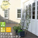アイアン製グリーンカーテン アーガイル 2枚組 送料無料 フェンス アイアン グリーンフェンス ゴーヤ 薔薇 バラ 朝顔 庭 ベランダ ガーデニング 枠 柵 仕...