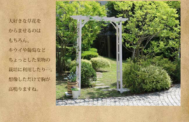 �ڳ�ŷ�����ѡ�SALE_10%OFF��ŷ���ڥѡ����饢����������̵�� ������ �� ���� �Х� �� �ե��� �ۥ磻�� �֥饦�� ������� ���� �̲� �����ǥ˥� ���� �ȶ� �ĥ� �� ���󥰥�å��奬���ǥ� �������ƥꥢ ���ޥ���å� �ȥ�ꥹ ��ݻ����