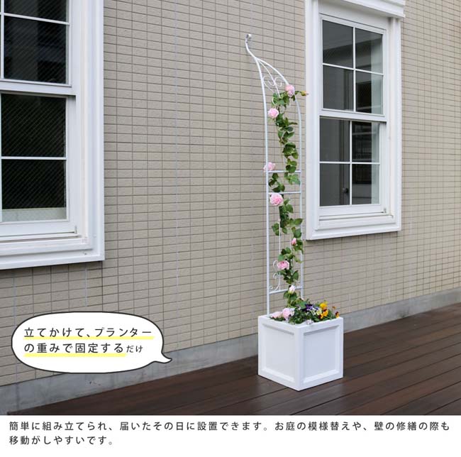 �ڳ�ŷ�����ѡ�SALE_10%OFF�ۥ�������ϡ��ե������ʥ��֥�ˡ�����̵�����������󥢡������硡Ŵ�����ϡ��ȡ��֡��ե��󥹡������ǥ󥢡������������ ���� �̲� �����ǥ˥� ���� �ȶ� �ĥ����ա�����ȥ�󥹡��������ƥꥢ�����ޥ���å����ϡ��ա���ݻ����