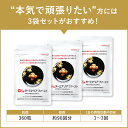 ＼27日9:59まで クーポン利用で2,000円OFF／【 ターミナリアファースト 】機能性表示食品 ターミナリア ターミナリアベリリカ ダイエット サプリ 糖質コントロール 血糖値 中性脂肪 内臓脂肪 に 体重 と BMI を 減らすのを助ける グルメサプリ 日本製 120粒 3袋 3