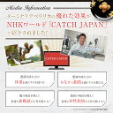 ＼27日9:59まで クーポン利用で2,000円OFF／【 ターミナリアファースト 】機能性表示食品 ターミナリア ターミナリアベリリカ ダイエット サプリ 糖質コントロール 血糖値 中性脂肪 内臓脂肪 に 体重 と BMI を 減らすのを助ける グルメサプリ 日本製 120粒 3袋 2