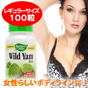 ワイルドヤム(WILD YAM)濃縮100カプセル★簡単で経済的!サプリでラクラク山芋ダイエット★1粒に濃縮ワイルドヤムが425mg!ワイルドヤム(WILD YAM)生理不順&生理痛&PMSにお悩みならNature's Way / ネイチャーズウェイ