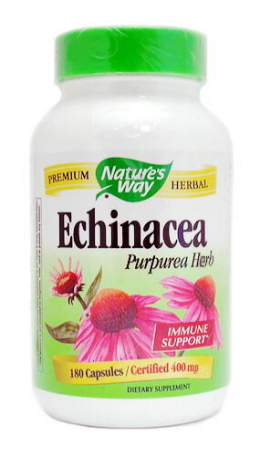 ナウフーズ エキナセア 400mg 250粒 NOW Foods Echinacea 400mg 250 Vef Capsules サプリメント サプリ 健康 バリア 季節の変わり目