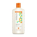 アンダルー ナチュラルズ（ANDALOU NATURALS） ASOモイスチャーリッチシャンプー 340ml健康的な髪に必要なアミノ酸をはじめ フルーツ幹細胞エキス アルガンオイルなどが髪の乾燥やダメージを補修しながら潤いを与えます。オレンジベースのスイートな香りのシャンプー