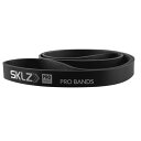 スキルズ メンズ レディース トレーニングチューブ プロバンド ヘビー PRO BANDS HEAVY スポーツ用具 送料無料 SKLZ 016805