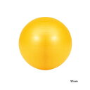 55cm エバニュー メンズ レディース ジュニア ジムボール スポーツ用具 練習 トレーニング 上達 筋トレ 体幹 フィットネス 腹筋 バランスボール 送料無...