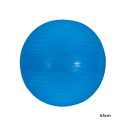 65cm エバニュー メンズ レディース ジュニア ジムボール スポーツ用具 練習 トレーニング 上達 筋トレ 体幹 フィットネス 腹筋 バランスボール 送料無...