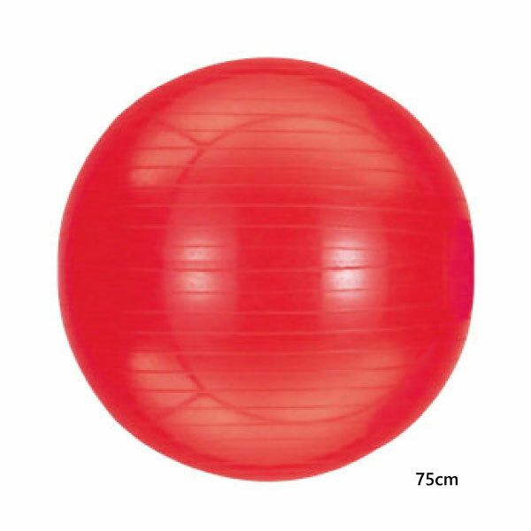 75cm エバニュー メンズ レディース ジュニア ジムボール スポーツ用具 練習 トレーニング 上達 筋トレ 体幹 フィットネス 腹筋 バランスボール 送料無...