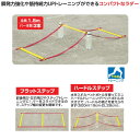 ユニックス メンズ レディース ジュニア コンパクト3連ラダー スポーツ用具 トレーニング 反射神経 バランス感覚 瞬発力 筋持続力 送料無料 unix BX86-60 2