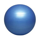 55cm ハタ メンズ レディース ジュニア バランスボール セイフティー スポーツ用具 トレーニング フィットネス ダイエット 体幹 ブルー 青 送料無料 H...