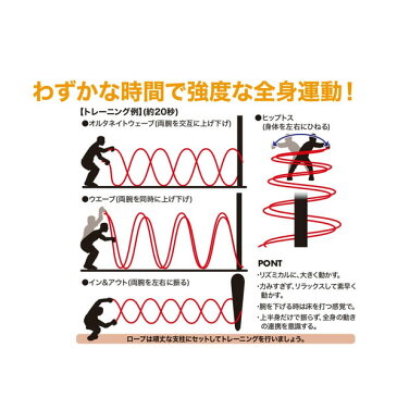 【送料無料】 9m 7.5kg ハタ HATAS メンズ レディース バトルロープ 縄 体幹トレーニング 筋トレ 全身運動 有酸素運動 ロープ スイング BRB009