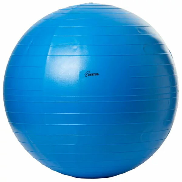 直径65cm トーエイライト メンズ レディース ボディーボール バランスボール ヨガ エクササイズ フィットネス ダイエット 姿勢矯正 体幹トレーニング ブル...