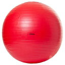 直径55cm トーエイライト メンズ レディース ボディーボール バランスボール ヨガ エクササイズ フィットネス ダイエット 姿勢矯正 体幹トレーニング 送料無料 TOEILIGHT H7261