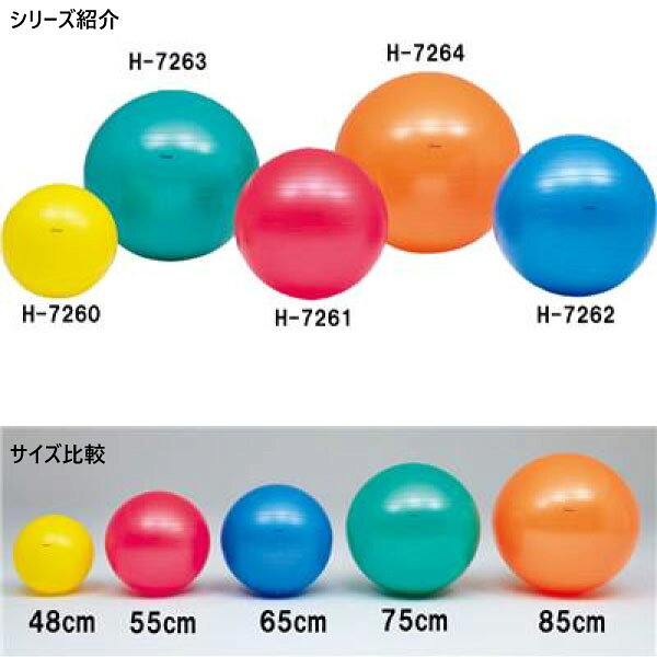 バイタライザーの直径55cm トーエイライト メンズ レディース ボディーボール バランスボール ヨガ エクササイズ フィットネス ダイエット 姿勢矯正 体幹トレーニング レッド 赤 送料無料 TOEILIGHT H7261｜アングル2