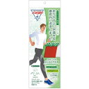 ソルボ メンズ DSISソルボランニングエア 中敷き インソール 軽量 トレーニング スポーツ 部活 健康 運動 衝撃吸収 ジョギング マラソン ランニング レッド 赤 送料無料 SORBO