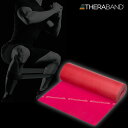 幅12.5cm×長さ5.4m ディーアンドエム メンズ レディース セラバンド THERABAND 強度レベル0 トレーニングバンド エクササイズ マニュアル付...