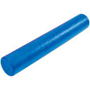 ダンノ メンズ レディース フォームローラーPE D-2 トレーニング フィットネス ダイエット用品 送料無料 DANNO D5561(4)