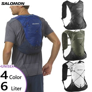 【楽天市場】6L サロモン メンズ レディース XT 6 リュックサック デイパック バックパック バッグ 鞄 アウトドア ファストハイク トレイルランニンング 送料無料 Salomon：バイタライザー