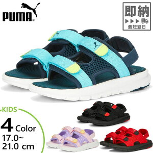 ס ˥ å ܥ  PS ݡĥ 塼 ȥɥ 쥸㡼 ֥å  ֥롼  ԥ ̵ PUMA 389147