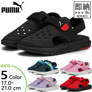 ס ˥ å ܥ  AC PS  塼 ֥å  ֥롼  ѡץ  ̵ PUMA 390692