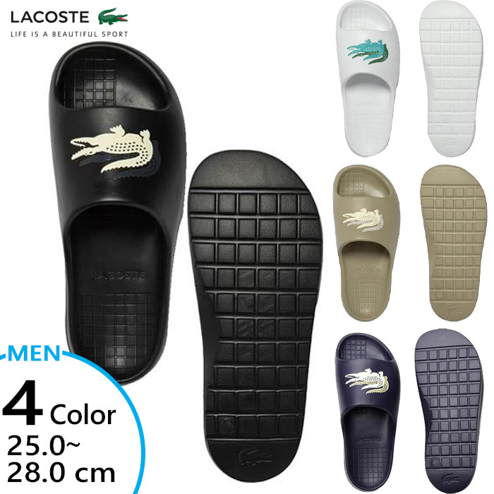 RXe Y NR CROCO 2.0 EVO 123 1 CMA T_ V[Y JWA V[T_ C zCg   LACOSTE 45CMA0005