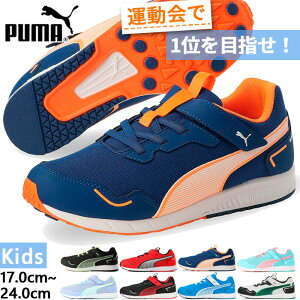 ס ˥ å ԡɥ󥹥 Speed Monster V4 ˡ 塼 ư ٥륯 ޥåơ ư ̳ ̶ ä ۥ磻  ֥å  졼  ̵ PUMA 378908