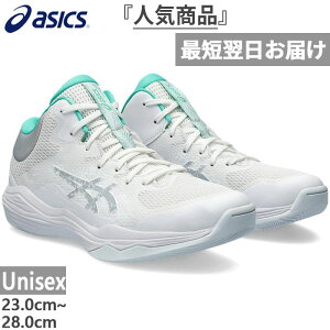 普通幅 アシックス メンズ レディース ノヴァ フロー2 NOVA FLOW 2 バスケットボールシューズ バッシュ 送料無料 asics 1063A071