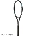 ダイアデム メンズ レディース スーパーノヴァ プラス 100 SUPERNOVA PLUS100 硬式テニス ラケット 送料無料 DIADEM TAA004