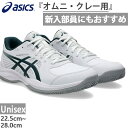 普通幅 アシックス メンズ レディース コート スライド4 COURT SLIDE 4 CLAY/OC テニスシューズ オムニ・クレーコート用 ホワイト 白 送...